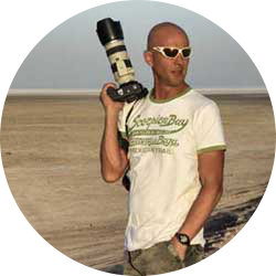 Dino_Bonelli